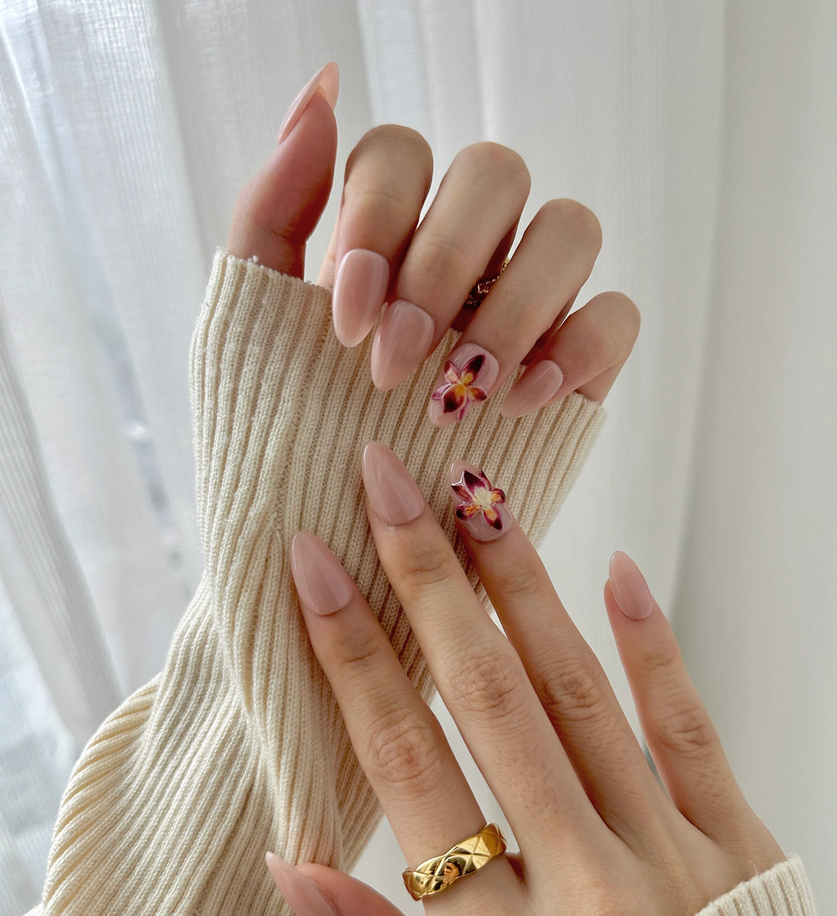 Rosy Orchid