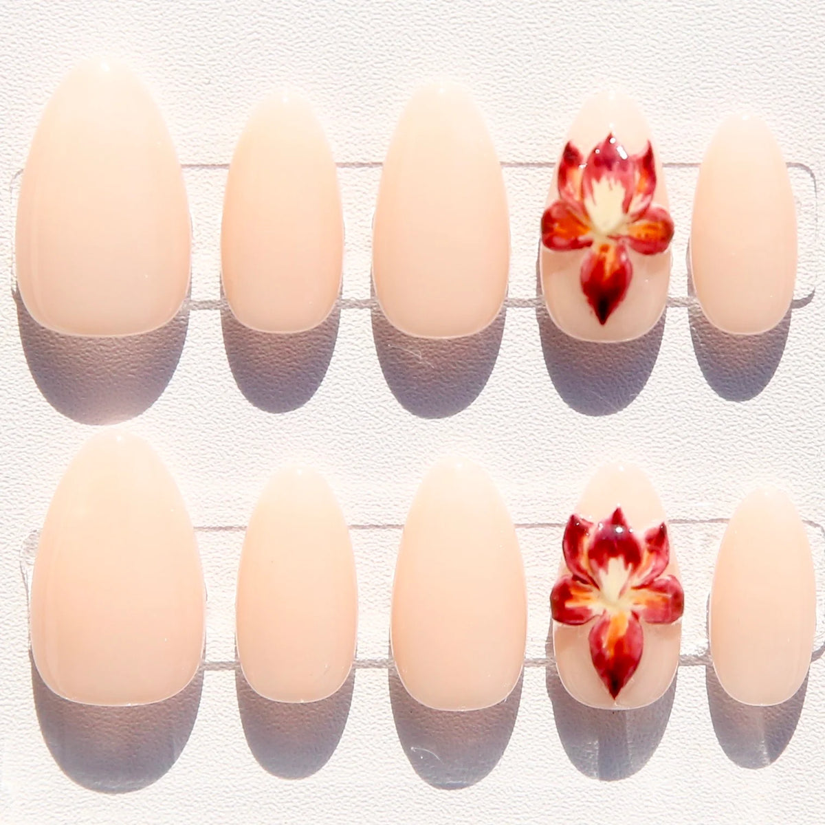 Rosy Orchid